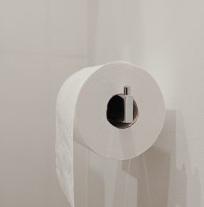 toilet roll on silver holder